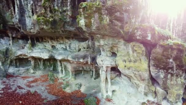 Печерний грот у лісі — стокове відео
