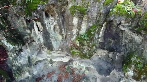 La Gruta de las Cuevas en el bosque — Vídeos de Stock