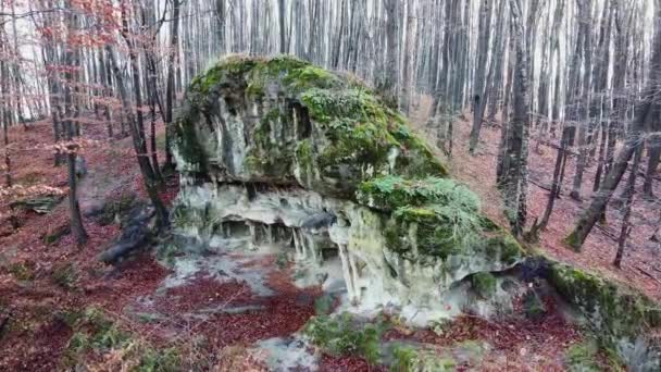 Grota jaskiniowa w lesie — Wideo stockowe