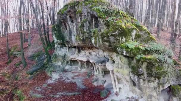 A gruta da caverna na floresta — Vídeo de Stock