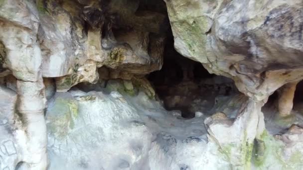 Grotta della Grotta nella foresta — Video Stock