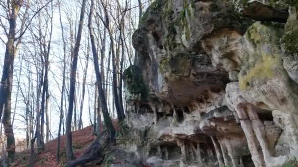 La Gruta de las Cuevas en el bosque — Vídeos de Stock