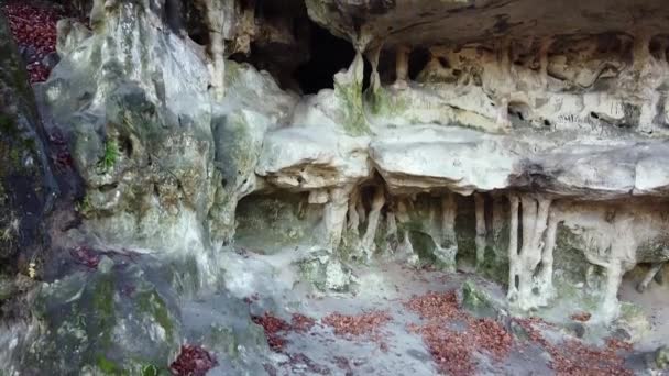 Die Höhlengrotte im Wald — Stockvideo