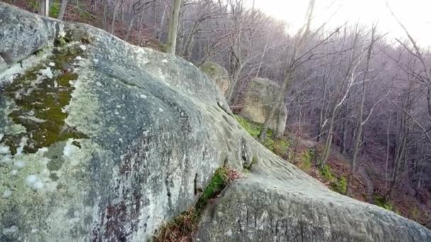 森の中の岩の修道院 — ストック動画