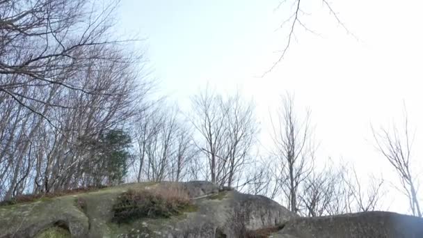 El monasterio de rocas en el bosque — Vídeos de Stock