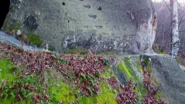 Il monastero roccioso nella foresta — Video Stock