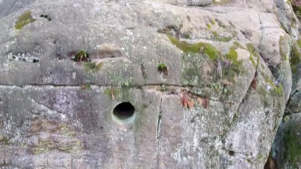 Il monastero roccioso nella foresta — Video Stock