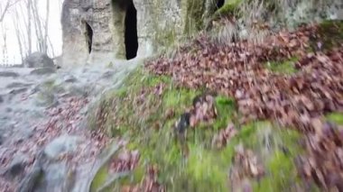 Ormandaki kaya manastırı.