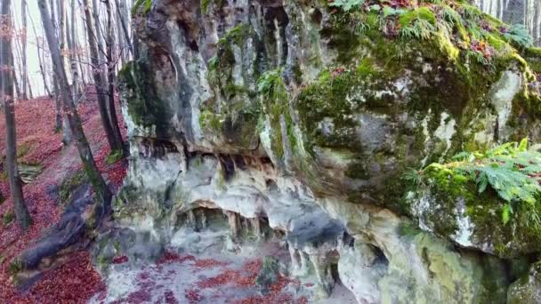 Grotta della Grotta nella foresta — Video Stock