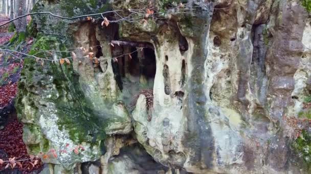 Печерний грот у лісі — стокове відео