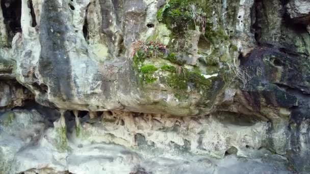 A gruta da caverna na floresta — Vídeo de Stock