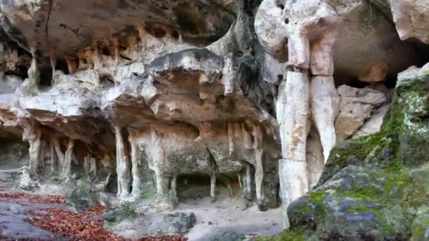 A gruta da caverna na floresta — Vídeo de Stock