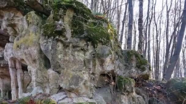 La grotte de la grotte dans la forêt — Video