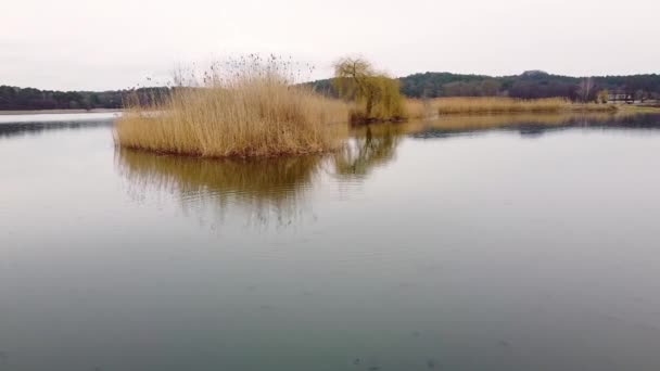 Jezero večer drone záběry zamlžené — Stock video