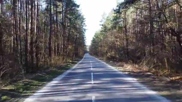 Flygväg på landet i skogen på kvällen vid skymning — Stockvideo