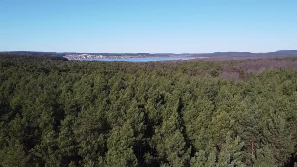 Early in forest aerial top view — Stock Video