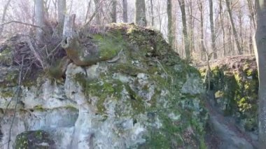 Ukrayna 'nın Krehiv ormanındaki mağara manastırı.