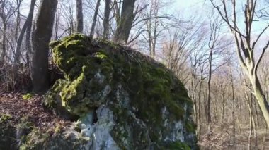 Ukrayna 'nın Krehiv ormanındaki mağara manastırı.