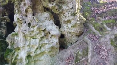 Ukrayna 'nın Krehiv ormanındaki mağara manastırı.
