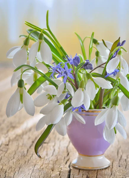 Bellissimo bouquet di bucaneve in vaso — Foto Stock