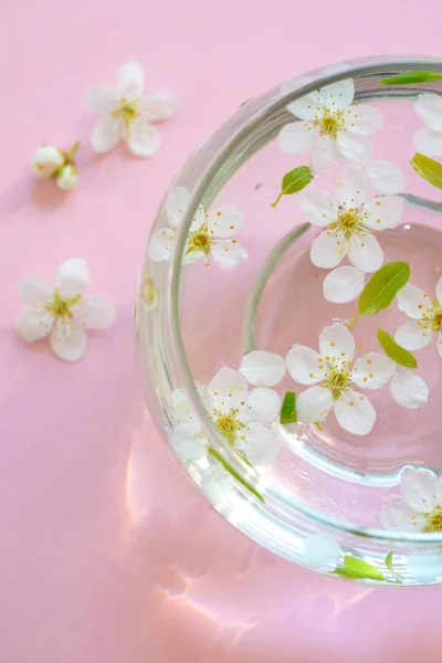 Білі квіти в мисці води — стокове фото