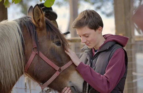 Lycklig tonåring pojke med häst Royaltyfria Stockbilder
