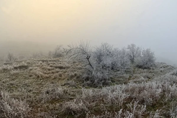 Soğuk Kış Sabahı Manzarası — Stok fotoğraf