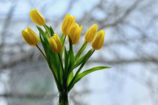 Μπουκέτο με κίτρινα λουλούδια τουλίπας σε ένα βάζο — Φωτογραφία Αρχείου
