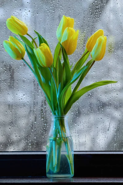 Bouquet di fiori di tulipano giallo in un vaso — Foto Stock