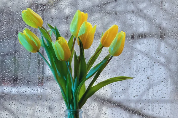 У вазі букет жовтих тюльпанів — стокове фото