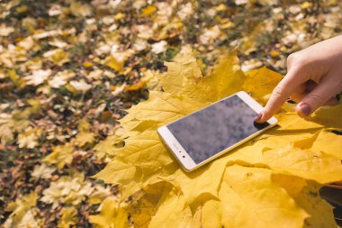 Kız telefon sonbahar parkta kullanır.