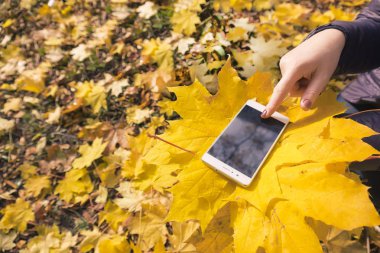 Kız telefon sonbahar parkta kullanır.