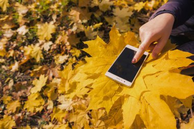 Kız telefon sonbahar parkta kullanır.