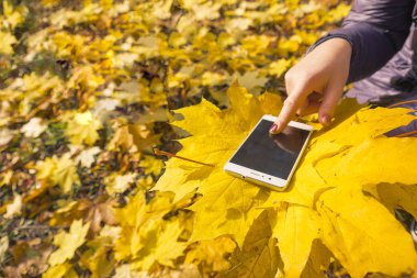 Kız telefon sonbahar parkta kullanır.