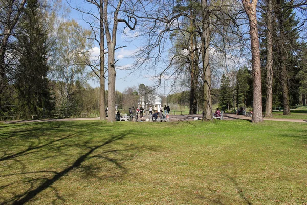 Un grupo de personas en el parque. — Foto de Stock