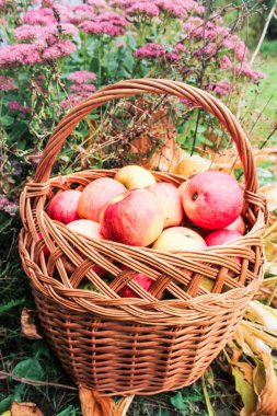 Elmalı ve çiçekli sepet..