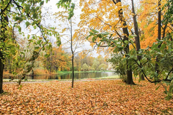 Outono no parque. — Fotografia de Stock