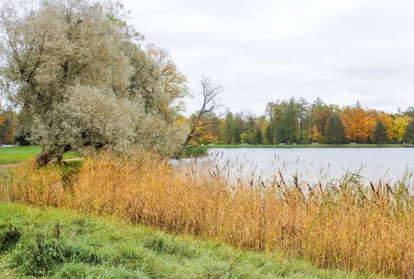 Autumn on the lake. — Stock Photo, Image
