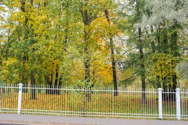 Çitin arkasına park edin.