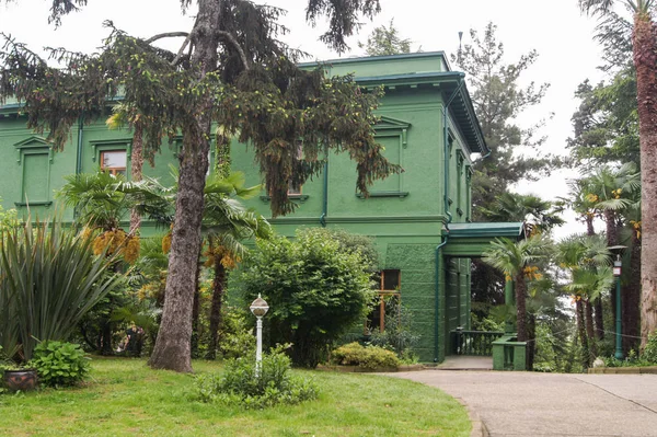 Plantas na dacha de Stalin . — Fotografia de Stock