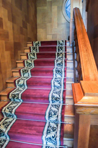 카펫 계단. — 스톡 사진