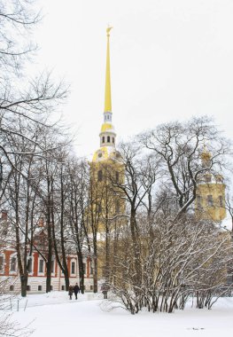 Peter ve Paul Katedrali ağaçların arkasında.