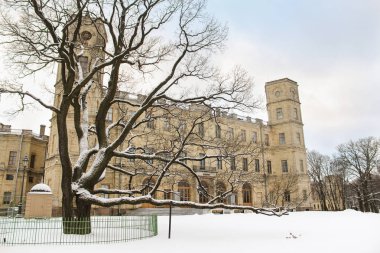 Eski meşe ağacının Sarayı.