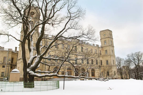 Eski meşe ağacının Sarayı.