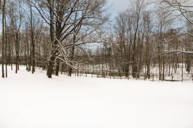 Kış Park donmamış su birikintisi.