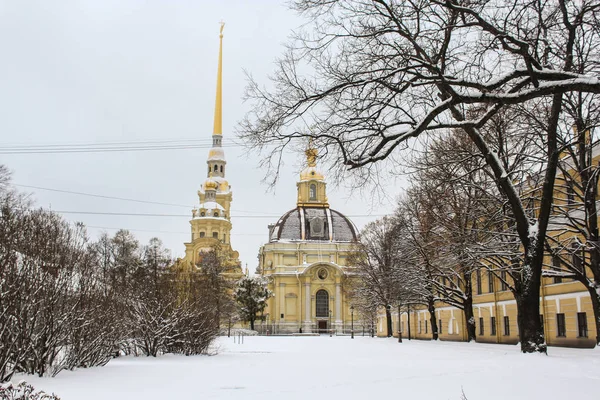 Cathedral of Peter and Paul Fortress in the winter. — Stock Photo, Image