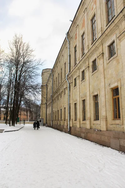 Duvar Gatchina Palace.