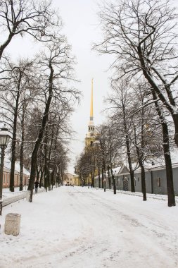 Peter Paul Fortress içinde çıplak ağaçlar.