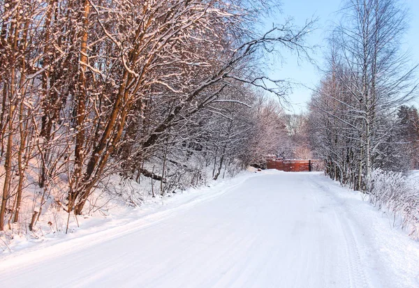 Strada bianca invernale . — Foto Stock