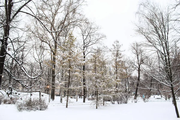 Parc Alexander d'hiver . — Photo